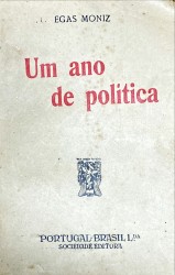 UM ANO DE POLITICA.